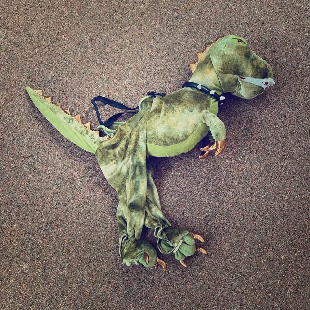 Dinosaur Costumr